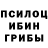 Псилоцибиновые грибы мицелий Boris Silianov