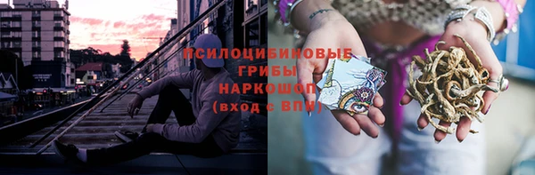 стаф Новый Уренгой