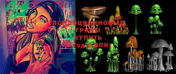 шишки Волосово
