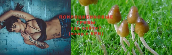гашишное масло Михайлов