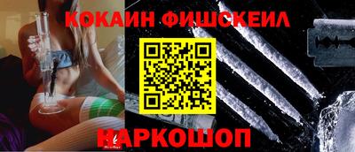 стаф Гатчина