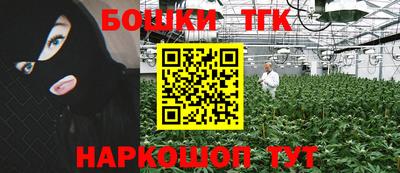 крисы Балахна