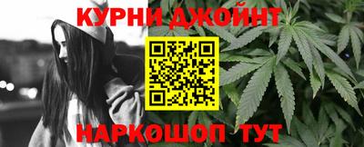 стаф Гатчина