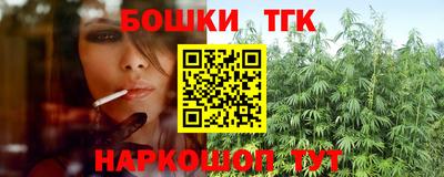 стаф Гатчина