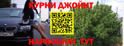 стаф Гатчина