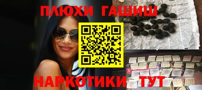 стаф Гатчина