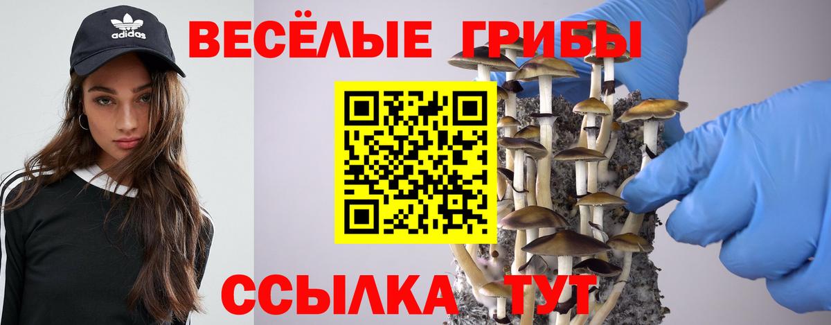 Донецк  Галлюциногенные грибы мухоморы  Вход с VPN 
